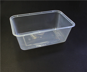 Disposable lunch box